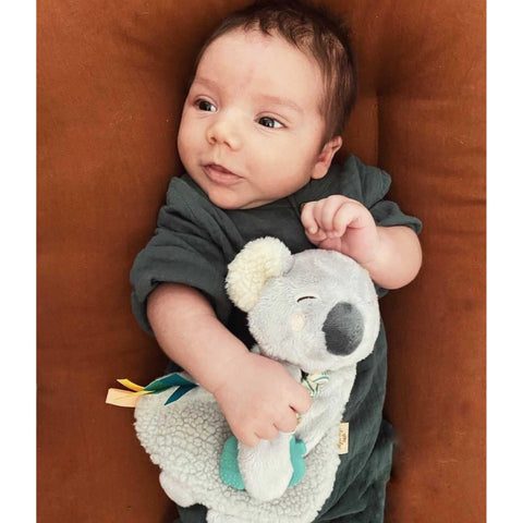 Itzy Lovey Plush with Silicone Teether Toy: Koala